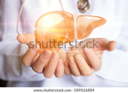 Support healthy liver concept design banner .