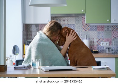 Support Of Pet Friend: Crying Woman Hugging Calm Comforting Dog Sitting Alone In Kitchen Tired Of Search Of New Job Or Apartment After Breakup With Boyfriend, Divorce With Husband. Depression Concept