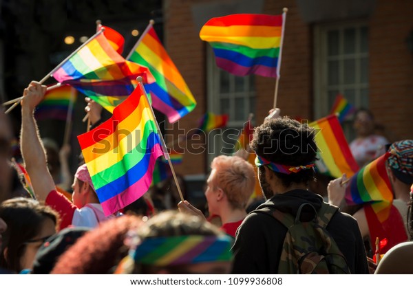 Supporters wave rainbow flags and signs at the\
annual Pride Parade as it passes through Greenwich Village in New\
York City