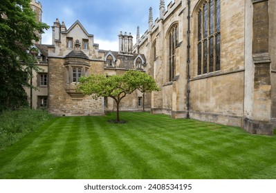Supposedly the very apple tree, whose fruit allegedly inspired Sir Isaac Newton to discover the law of universal gravitation when it fell.