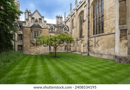 Supposedly the very apple tree, whose fruit allegedly inspired Sir Isaac Newton to discover the law of universal gravitation when it fell.