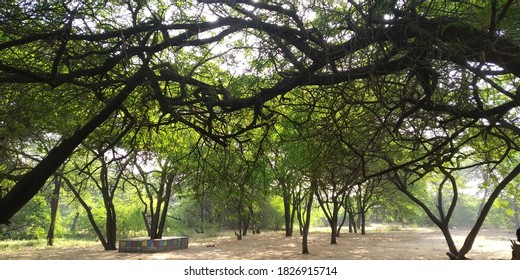 Surat Dumas Beach Clean Beauty