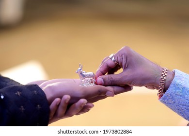 Surat, Gujarat, India - 01 February 2021 - A Small Silver Statue Of A Cow Gives A Gift On Hand Two Hands.