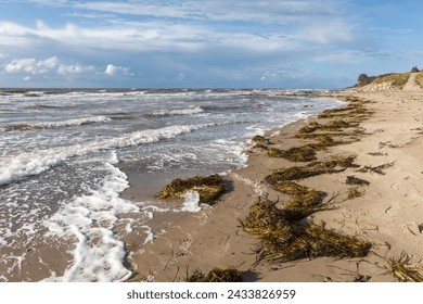 Surf at the beach Rerik-Meschendorf at the Baltic Sea in Mecklenburg-Vorpommern, Germany. Wrack zone with eelgrass (Zostera marina). - Powered by Shutterstock