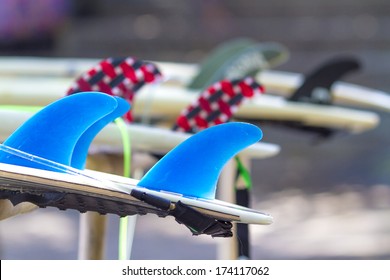 Surf Board  Fins 