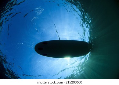 Surf Paddle Board silhouette from underwater