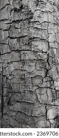 surface background with black, charred, burnt porous rough texture of a large log in the forest. wood for charcoal. protect the environment. save the earth and forests. - Shutterstock ID 2369706539