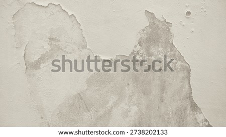 The surface or background of an old white wall with peeling paint. photo of a damp and moldy house wall. Paint used for painting non-standard house walls causes the wall paint to peel off.