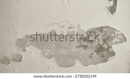 The surface or background of an old white wall with peeling paint. photo of a damp and moldy house wall. Paint used for painting non-standard house walls causes the wall paint to peel off.