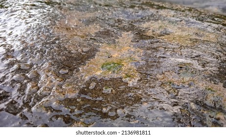 The Surface Of The Black River Stone Is Slippery And Mossy