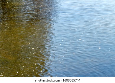 Surface of blue water with reflection.