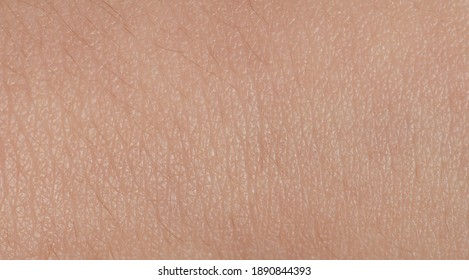 Surface of brown skin background macro close up view