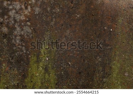 a surface covered with moss and possibly mold. It has a heterogeneous texture with patches of green, brown and gray.