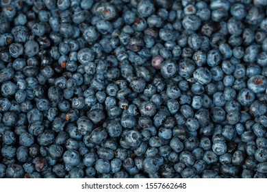 Surface Is Covered With A Thick Layer Of Blueberries. Natural Background. Bog Bilberry, Bog Blueberry, Heath Food.