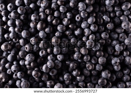 Similar – Image, Stock Photo bog Nature moorland