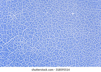 The surface crack.
