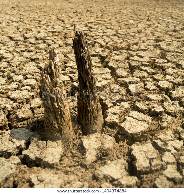 Surface Cracking Parched Earth Heat Stroke Stock Photo Edit - 