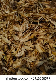 The Surface Of The Dry Corn Husk, Texture Background