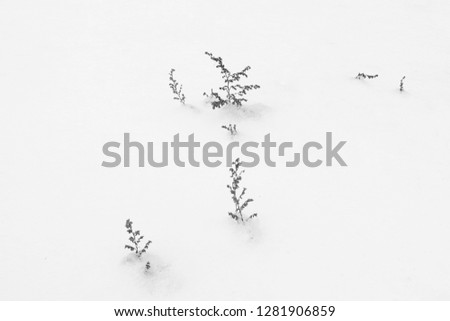 Similar – Image, Stock Photo . Black & white photo