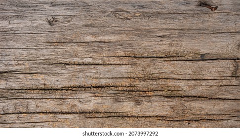 12,866 Eroded wood Images, Stock Photos & Vectors | Shutterstock