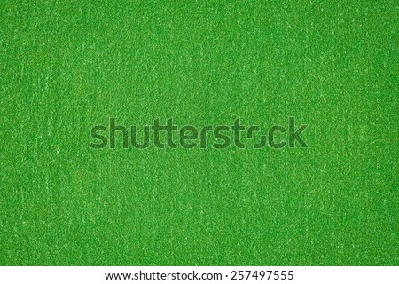 Surface of green velvet cover