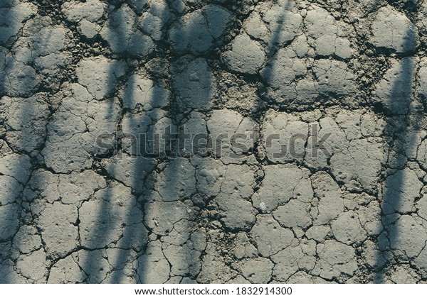 The surface of a ground soil black earth\
road  in the field with shadows from the grass is rolled, smoothed\
by cars, cracked from dryness.\
Macro.