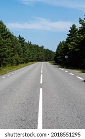 Surface Level Of Road Along Trees