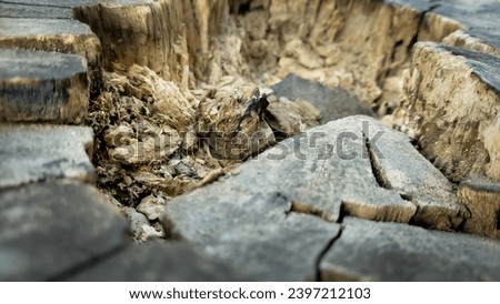 Similar – Image, Stock Photo Detail of partially destroyed old grave in a cemetery