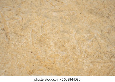 The surface of an old rock with cracks. Old rock texture (wild background).Yellow stone background. Horizontal color photography.