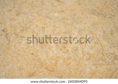 The surface of an old rock with cracks. Old rock texture (wild background).Yellow stone background. Horizontal color photography.