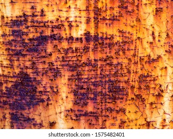The surface of the old rusty iron