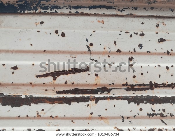 The surface of old\
rusty white truck.