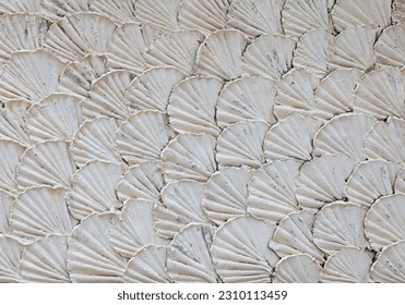 The surface is plastered with a white shell pattern.