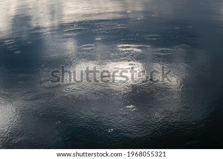 Similar – water on water with leaf padding