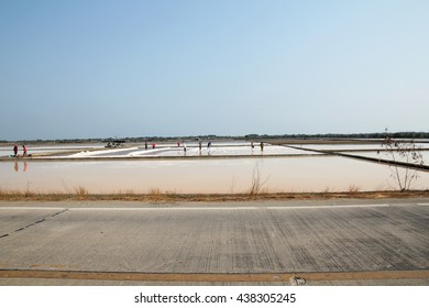 the surface reflect the Sun's rays and often appear as white areas