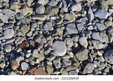 surface of rock with high detailed texture and contrast, ideal for wallapaper and filmmaking