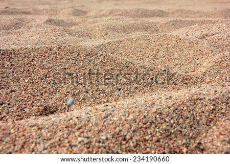 Similar – aground Baltic beach