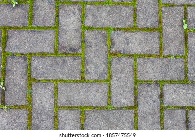 "cement Pedestrian Sidewalk Walkway" Images, Stock Photos & Vectors