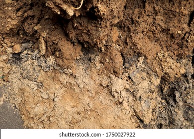 The Surface Of The Subsoil.