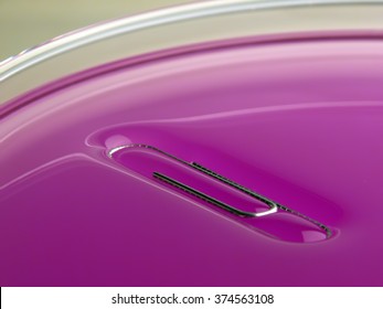 Surface Tension. Paper Clip Floating.