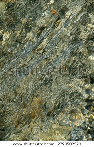 Surface texture of the clear, moving river water is close-up, creating a dynamic ripple pattern. The fast-flowing shallow water creates a detailed natural background texture.