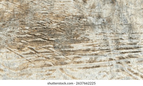 The surface texture of the floor is rough and uneven