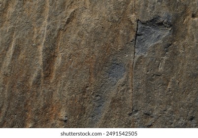 Surface texture of a stone with brown and gray tones