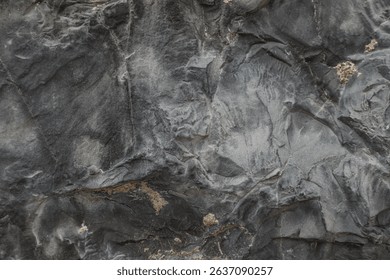 The surface texture of a wonderful natural stone with intricate patterns, small cracks and inclusions. The image conveys the details of the weathered rock, showing layers and mineral veins.