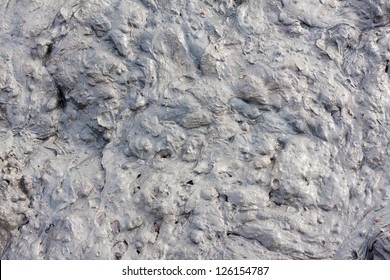 The Surface Of The Used Drilling Mud