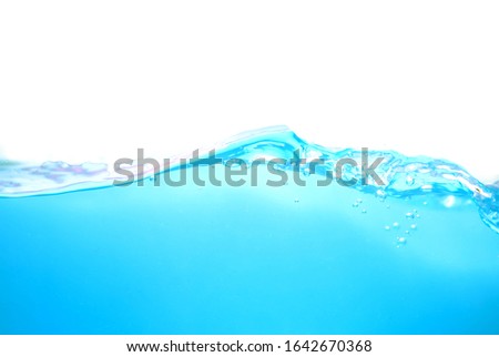 The surface of the water.
