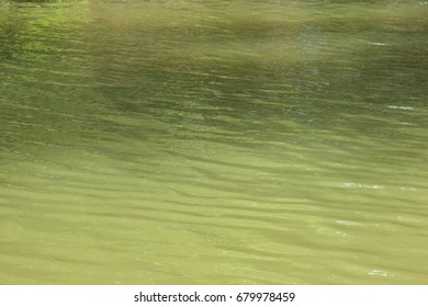 Surface Of The Water Background/creek