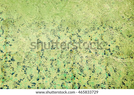 Similar – Aerial View Of People Crowd Having Fun On Beach