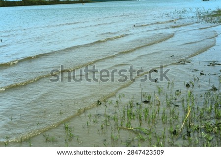 Surface water segmentation data documenting sequential wave trains and ripples smoothly inundating the specialized intertidal halophytic grass plains.