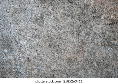 Surface of a weathered stone showcases intricate patterns and colors.